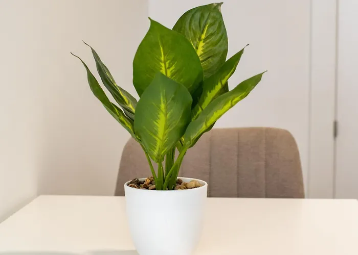 Mara 3* Comarca de Vigo